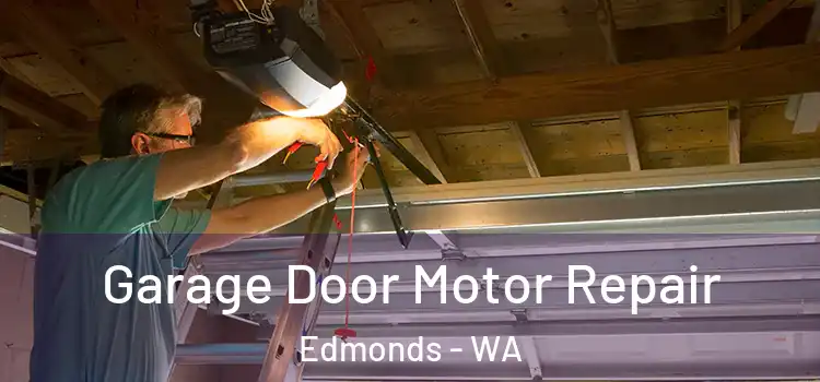  Garage Door Motor Repair Edmonds - WA