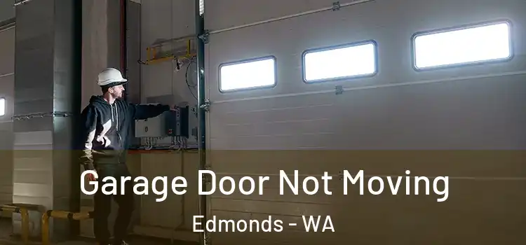  Garage Door Not Moving Edmonds - WA